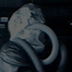 Brume : 1996