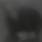 Brume : 1998