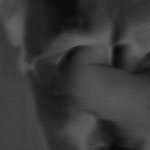 Brume : 2009