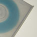 monera005_1