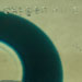 monera005_5