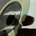 monera005_7