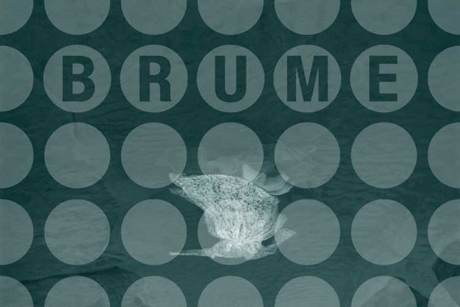 brume : zona ventille