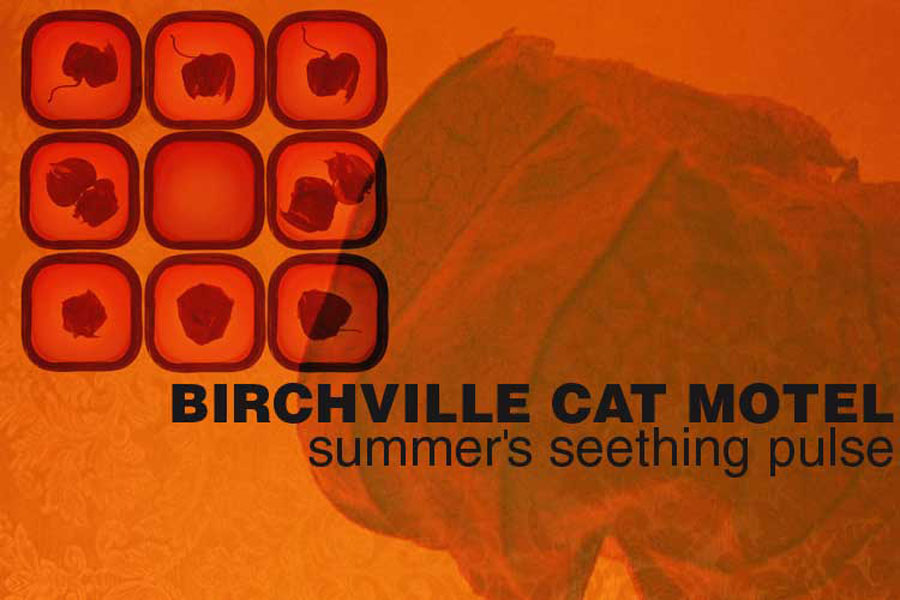 birchville cat motel : summer's seething pulse